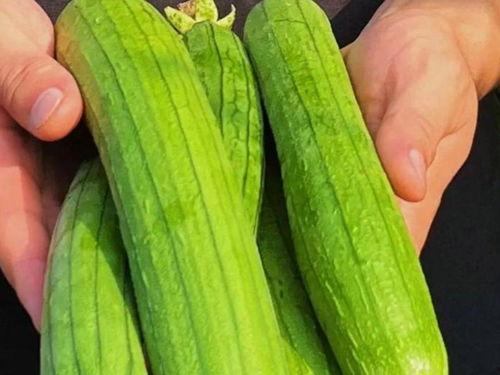 清辞在线吃瓜,揭秘网络热点的背后故事