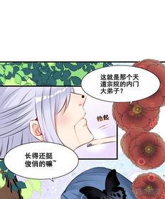 网王之女主吃瓜,吃瓜成瘾,揭秘网球王子背后的秘密