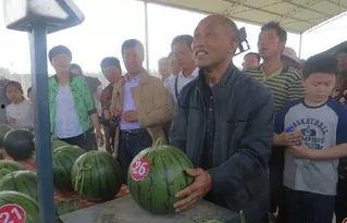 吃瓜内黄网站,探寻当地美食与文化魅力