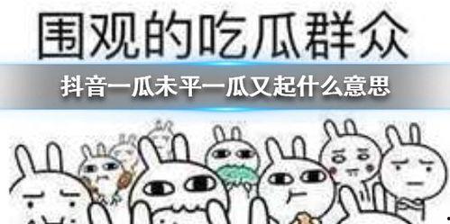 抖音吃瓜来回跑,来回跑带你领略热门事件风云变幻