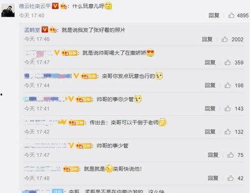 吃瓜评论区网站