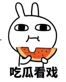 吃瓜宠之,揭秘娱乐圈背后的甜蜜与辛酸