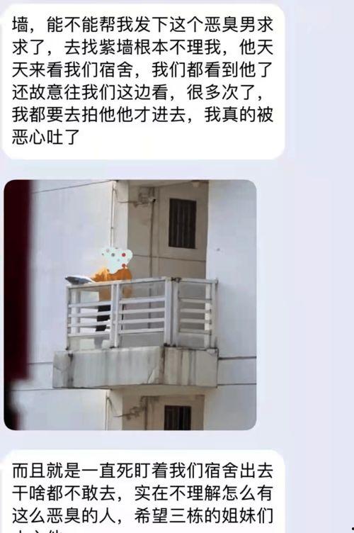 表白墙 吃瓜,一场吃瓜群众的狂欢盛宴