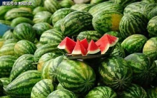 一般都在那吃瓜