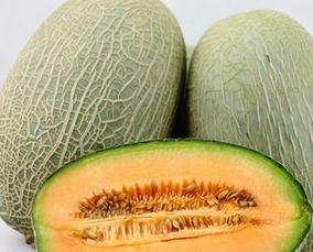 吃哈密瓜功效,润肺解毒,美容养颜的天然良药