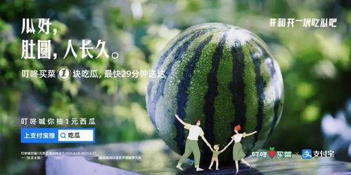 行走吃瓜圈文案,揭秘娱乐圈背后的故事与趣闻