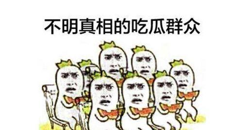 以毒攻毒吃瓜群众视频,揭秘吃瓜群众的独特视角与视频魅力