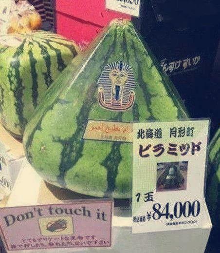 世界最强吃瓜群众图片,揭秘世界最强“吃瓜群众”的幕后故事