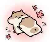 吃瓜的仓鼠表情,萌动你的心弦