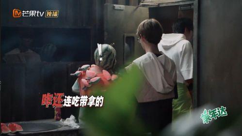 留法小分队吃瓜,一场跨国美食之旅的趣味记录